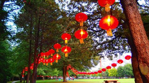 I Spent Lunar New Year In North America's Most Asian City — Here's How It Went