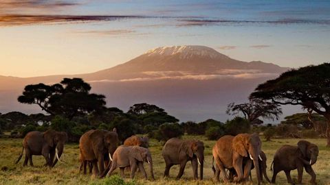 This 12-day Expedition Takes You From A National Park To The Top Of Mount Kilimanjaro